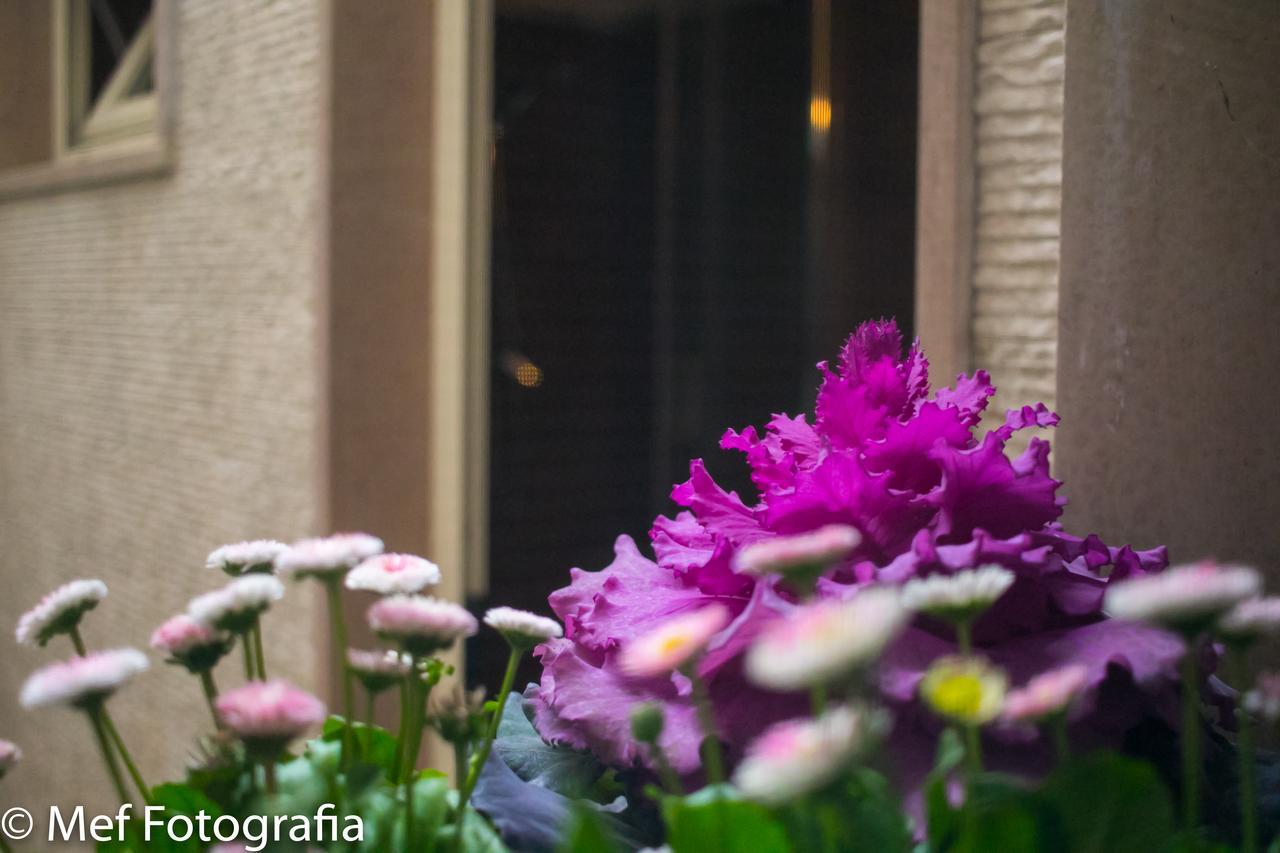 Miklu Luxury Suite Lecce Exteriér fotografie